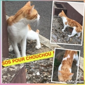 chat sexe deuil la barre